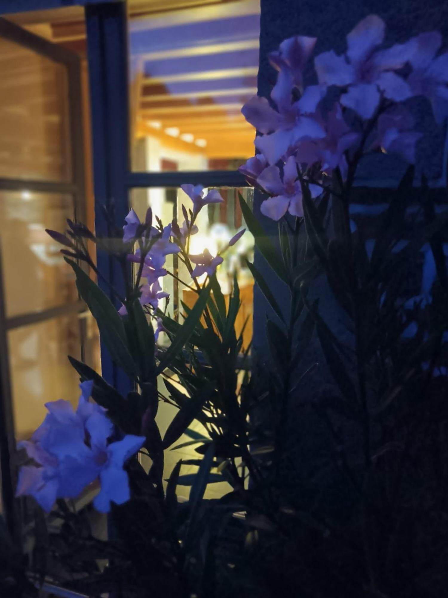 Le Val Daniniere B&B Adult Only Le Mesnil-Garnier Экстерьер фото